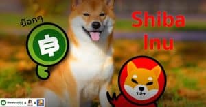 Shiba Inu คืออะไร? เหรียญธีมน้องหมาที่คนเชื่อว่าสามารถคงความ Decentralized ได้
