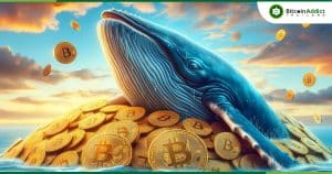 วาฬ Bitcoin คืออะไร ? และจะหาพวกเค้าเจอได้อย่างไร ?